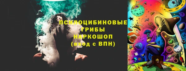 ALPHA PVP Няндома