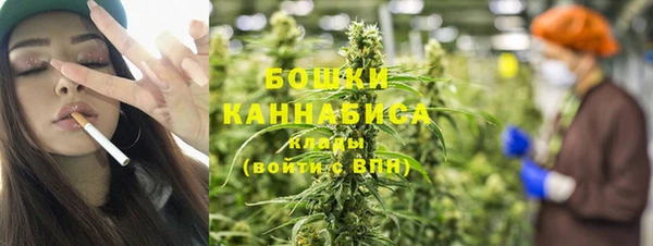 ГАЛЛЮЦИНОГЕННЫЕ ГРИБЫ Радужный
